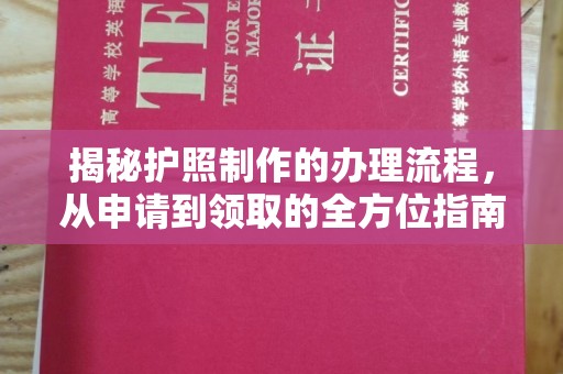 西城揭秘护照制作的办理流程，从申请到领取的全方位指南