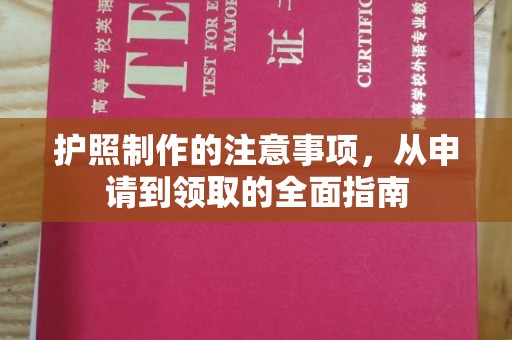 西城护照制作的注意事项，从申请到领取的全面指南