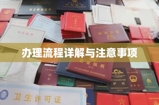 西城办理流程详解与注意事项
