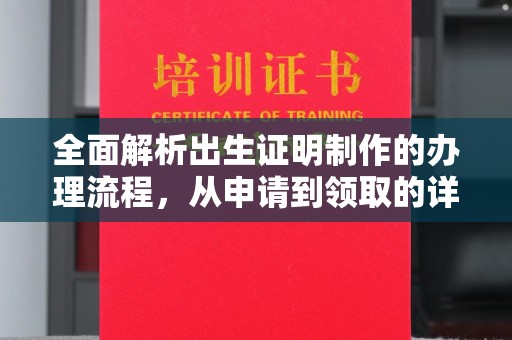 西城全面解析出生证明制作的办理流程，从申请到领取的详细指南